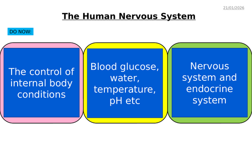 AQA GCSE Biology – B10 Nervous System - PowerPoint pack | Teaching ...