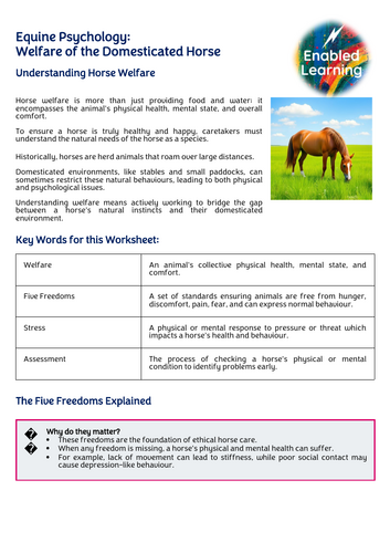 Equine Psychology - Welfare of Domesticated Horses | Teaching Resources