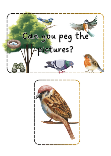 Big Bird Watch - Peg the pictures