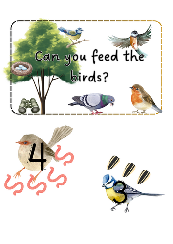 Big Bird Watch - Feed the birds