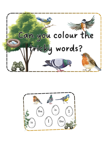 Big Bird Watch - Tricky word colouring