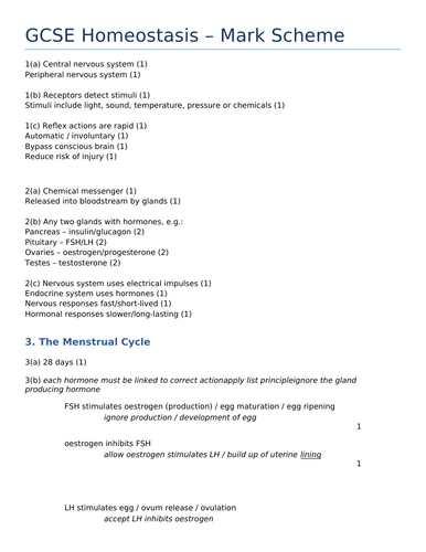 docx, 31.05 KB
