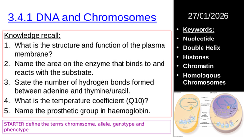 L2 3.4.1 DNA and Chromosomes (AQA Level Biology) | Teaching Resources