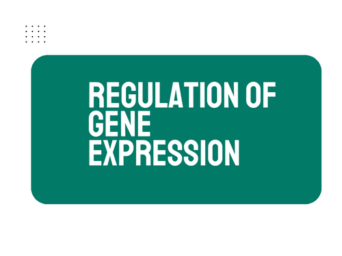 AP Biology Unit 6: Regulation of Gene Expression | Teaching Resources