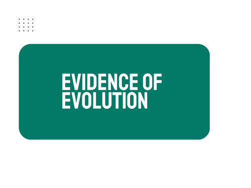 AP Biology Unit 7: Evidence of Evolution | Teaching Resources
