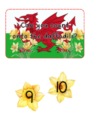 St David's Day - Daffodil counting