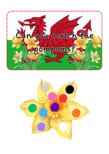 St David's Day - Pompom match