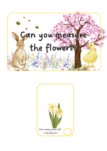 Spring - Measure the flowers