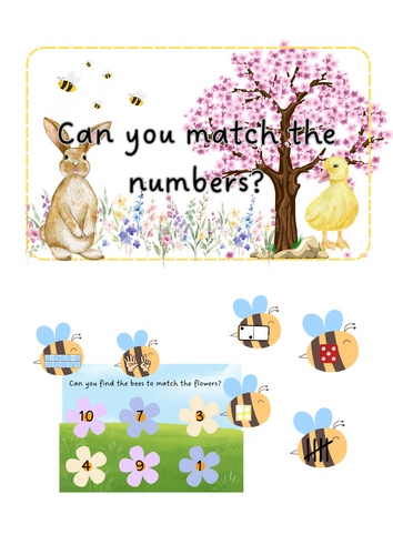 Spring - Bee representations