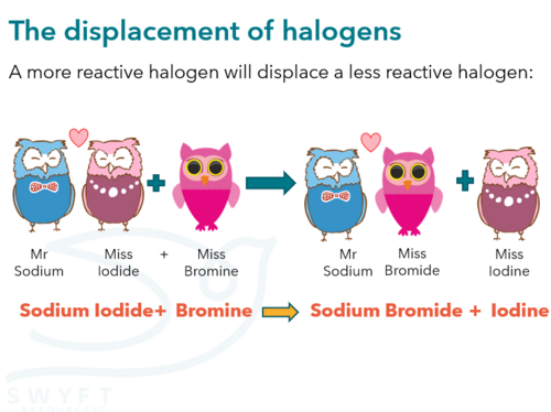 NEW WJEC (2026) GCSE Science - The Halogens | Teaching Resources