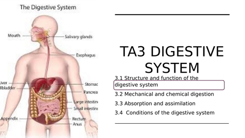 AAQ Cambridge Nationals in Health and Social Care - F091 TA3 Digestive ...
