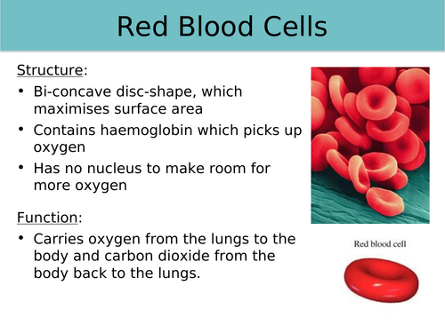 AQA GCSE Biology - B1 - Cell Structure & Transport Bundle | Teaching ...