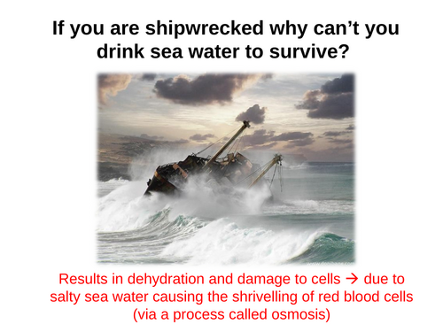 AQA GCSE Biology - B1 - Osmosis Theory