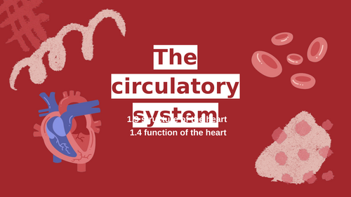 Level 3 Health + Social Care LO1 Cardiovascular system complete ...