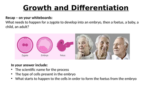AQA GCSE Biology - B2 - Growth and Differentiation