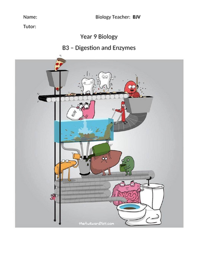 AQA GCSE Biology - B3 - Digestive System Workbook