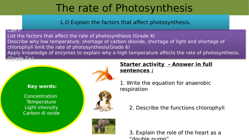 GCSE AQA Science B8 Photosynthesis Powerpoints, exam questions and ...