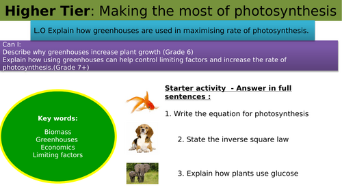 GCSE AQA Science B8 Photosynthesis Powerpoints, exam questions and ...