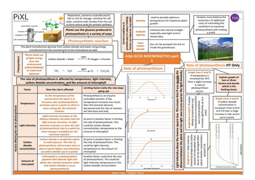 GCSE AQA Science B8 Photosynthesis Powerpoints, exam questions and ...