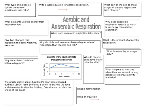 GCSE AQA Science B9 Respiration Powerpoints, exam questions and ...