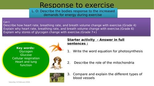 GCSE AQA Science B9 Respiration Powerpoints, exam questions and ...