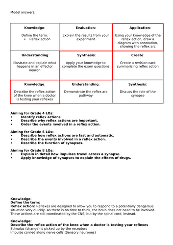 GCSE AQA Science B10 The nervous system Combined and triple powerpoints ...