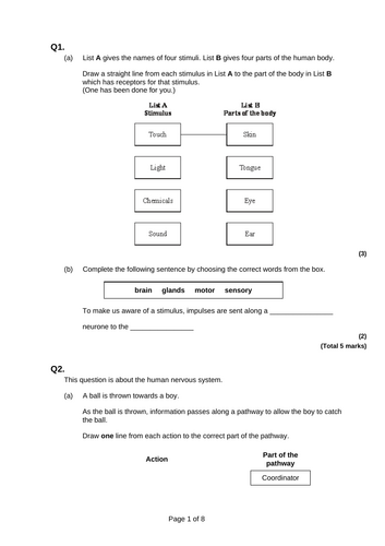 GCSE AQA Science B10 The nervous system Combined and triple powerpoints ...