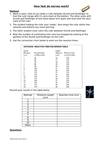 GCSE AQA Science B10 The nervous system Combined and triple powerpoints ...
