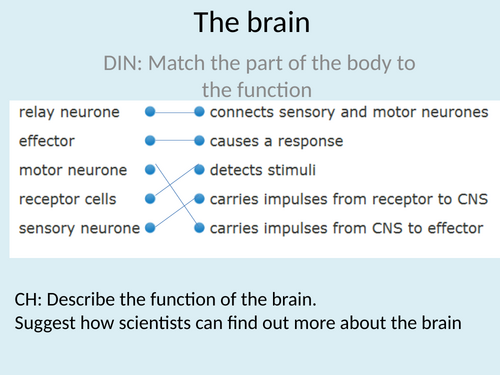 GCSE AQA Science B10 The nervous system Combined and triple powerpoints ...