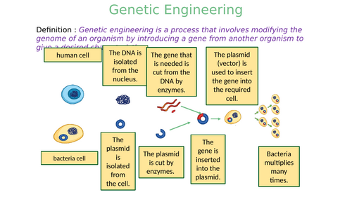 GCSE AQA B13 Variation and Evolution Powerpoints, exam questions and ...