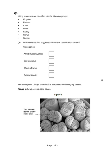 GCSE AQA B14 Genetics Powerpoints, exam questions and activities ...