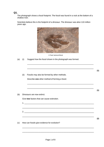 GCSE AQA B14 Genetics Powerpoints, exam questions and activities ...