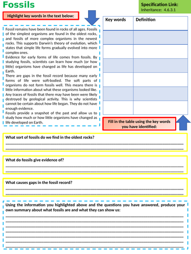 GCSE AQA B14 Genetics Powerpoints, exam questions and activities ...