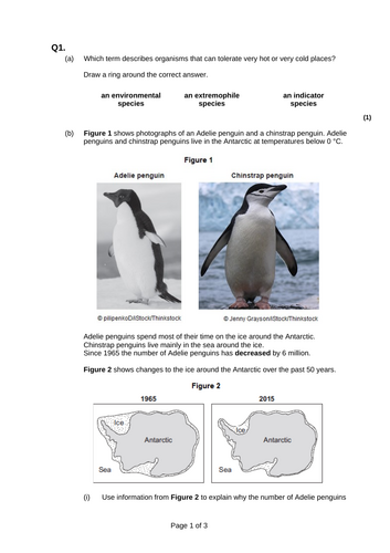 GCSE AQA B15 Adaptation and interdependence ppts, exam questions and ...
