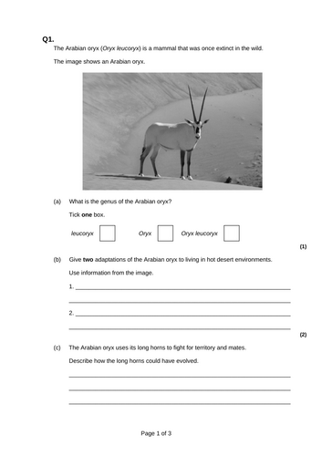 GCSE AQA B15 Adaptation and interdependence ppts, exam questions and ...