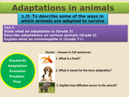 GCSE AQA B15 Adaptation and interdependence ppts, exam questions and ...