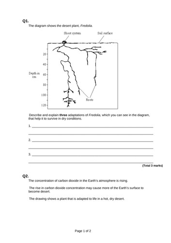 GCSE AQA B15 Adaptation and interdependence ppts, exam questions and ...