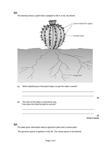 GCSE AQA B15 Adaptation and interdependence ppts, exam questions and ...