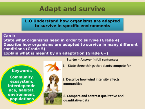 GCSE AQA B15 Adaptation and interdependence ppts, exam questions and ...