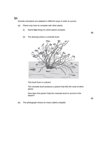 GCSE AQA B15 Adaptation and interdependence ppts, exam questions and ...