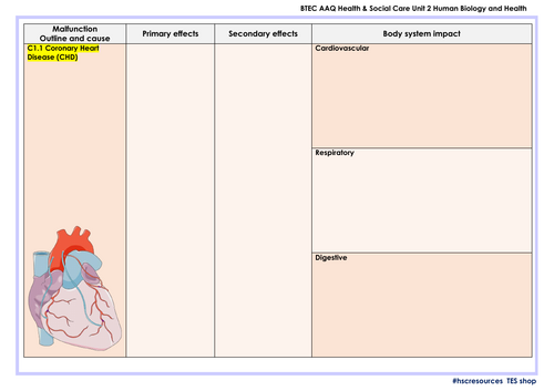 AAQ BTEC Health & Social Care Unit 2 Human Biology Mock Exam A ...