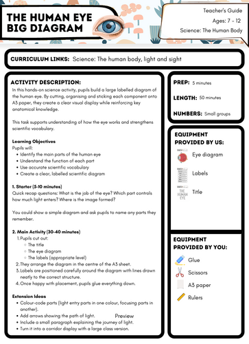 Human Eye Diagram Activity | Parts of the Eye Labeling | Light and ...