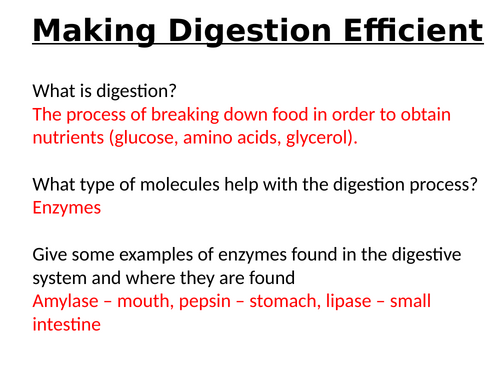 AQA GCSE Biology - B3 - The Digestive System | Teaching Resources