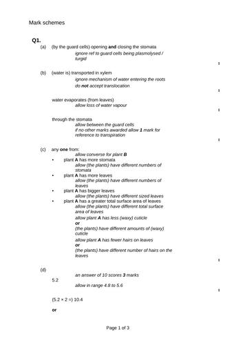 docx, 28.72 KB