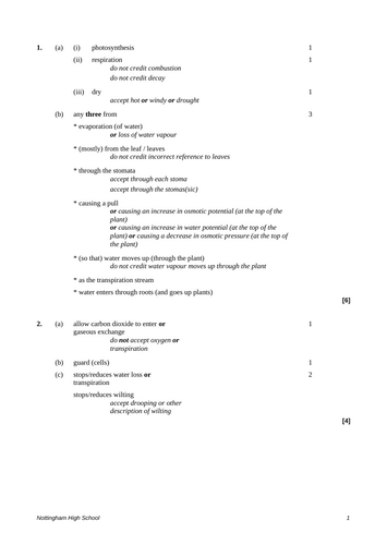 docx, 39.52 KB