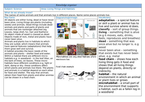 docx, 290.94 KB