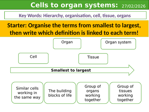 Smart activate 3 - Cells to organ systems