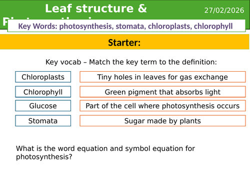 Leaf structure and photosynthesis