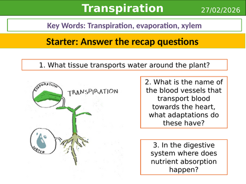 Transpiration