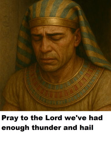 png, 2.43 MB